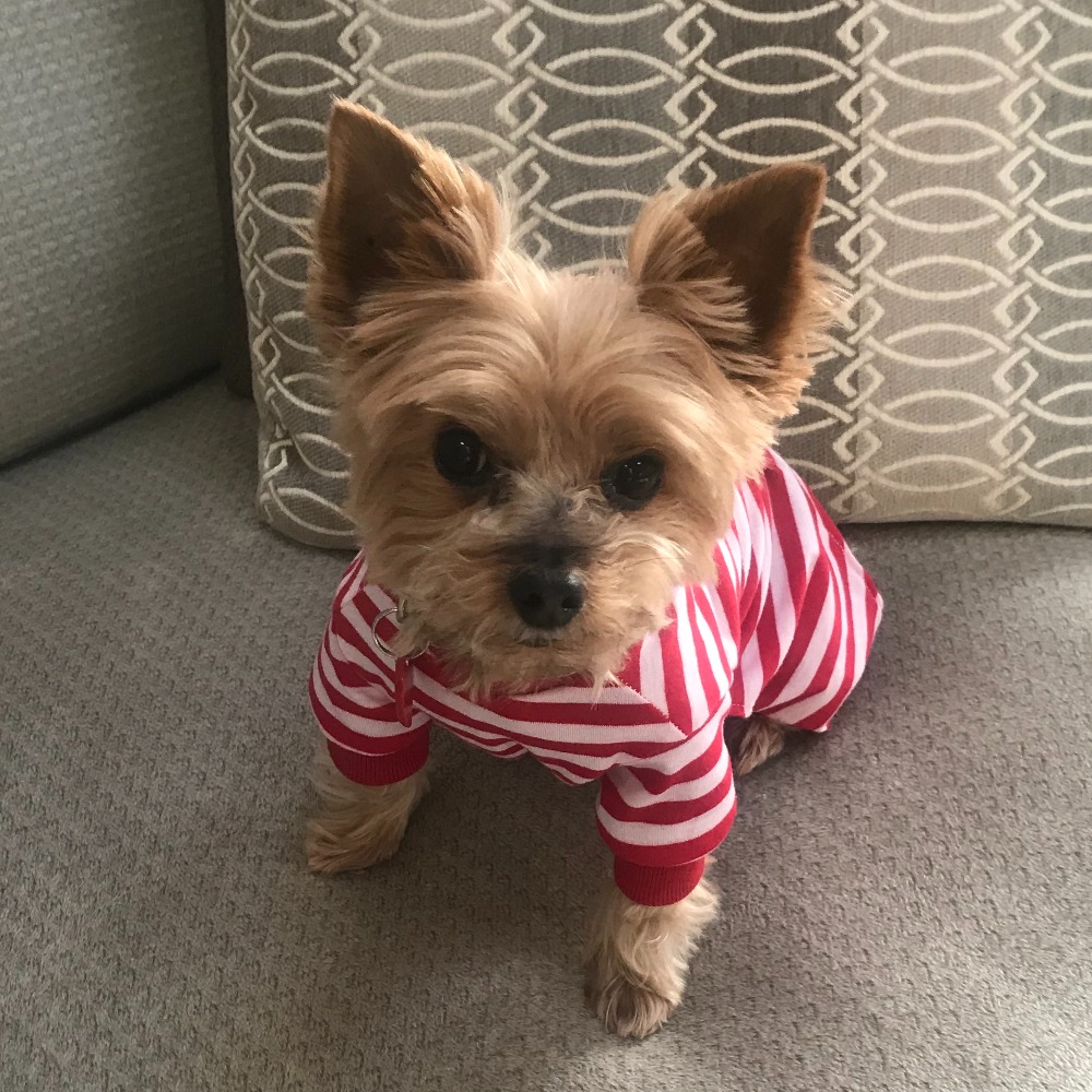 Meet your Posher, Lisa